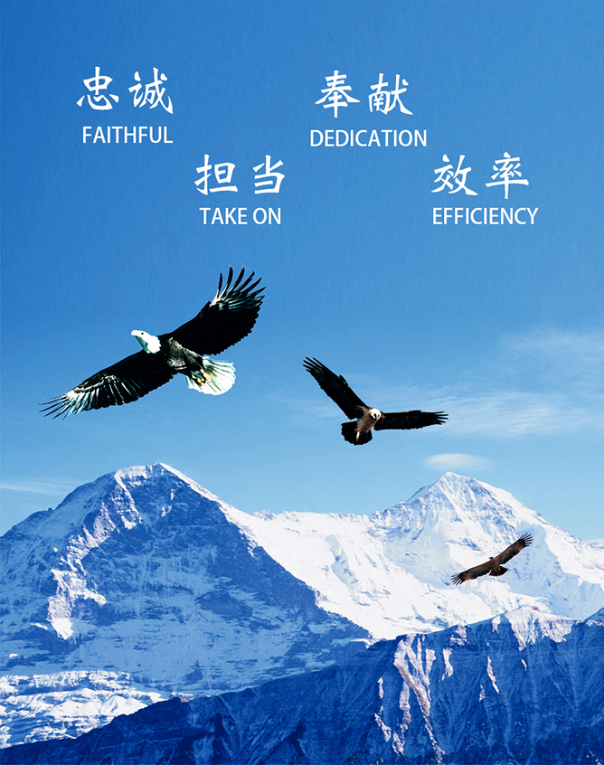 企業(yè)文化